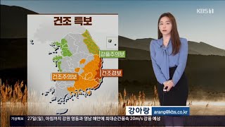 5시뉴스 강아랑기상캐스터 220226