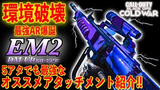 [COD:BOCW]現環境最強AR爆誕!!｢EM2｣｡とんでもなく強い5アタで使えるオススメアタッチメント紹介!!!![ハードポイント]