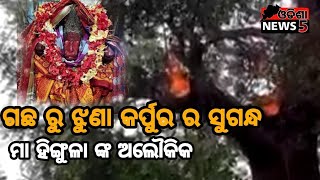 ତାଳଚେର ଜଗନ୍ନାଥପୂର୍ ଗ୍ରାମରେ ମା ହିଙ୍ଗୁଳା ଙ୍କ ଅଲୌକିକ ମହିମା । #talcher #odishanews5