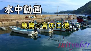 釣り人目線の水中動画　鹿島・宮の口港