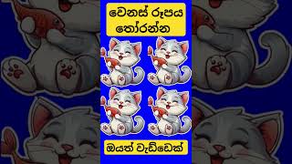 වෙනස් රූපය තෝරන්න ||select the different picture ❤️