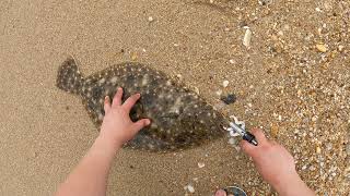 GIANT Fluke on KEITECH Easy Shiner - Limit+ Flounder Fishing