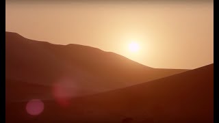 10 Hours Of Relaxing Planet Earth II Desert Sounds | Earth Unplugged