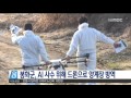 안동mbc뉴스 ai 사수위해 드론 방제 나서