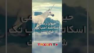 ۸ حقیقت عجیب درباره دنیا که کمتر کسی خبر دارد.  #shorts