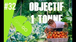 🍅🌱Potager bio : BILAN FINAL (2019) une TONNE de légume en un an ?