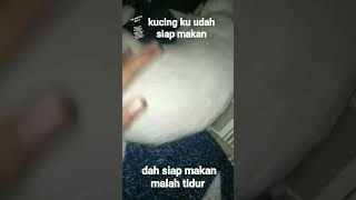 jangan salfok dengan tangan ku 😭🙏