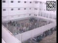 الرواية الرسمية للنظام بخصوص مجزرة سركاجي سنة 1995 Algérie Massacre