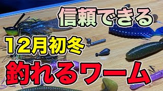 【バス釣り】12月初冬のおすすめワーム・ソフトルアーを紹介！使い所や使い方を解説する！【バス釣りJAPANちゃんねる】