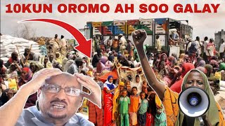 DEGDEG 10KUN OROMO AH PUNTLAND XOOG KU QABSTAY,SHIRQOOLKII UGU CUSLAA DHIGEEEN SIRDOONKA ITOOBIYA