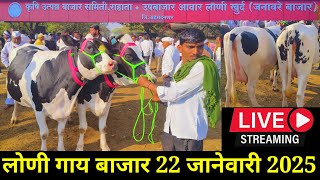 महाराष्ट्रातील सुप्रसिद्ध लोणी गाय बाजार live 🔴 22 जानेवारी 2025 Loni Gaay Bajar #लोणी