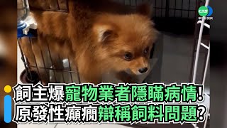 飼主爆寵物業者隱瞞病情！ 原發性癲癇辯稱飼料問題？｜👍小編推新聞20221004