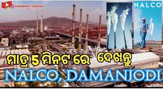 Damanjodi Nalco plant vlog