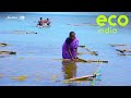 Eco India: Seaweed farms in Tamil Nadu are helping Indians fight climate change