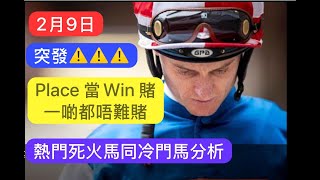 突發⚠️⚠️⚠️2月9日 沙田草地日賽  Place 當Win 賭，一啲都唔難賭