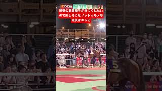 武豊騎手が来てくれずパドックにポツンと取り残されるノットゥルノ号 やっぱり暴れる 帝王賞2023 ジャパンダートダービーでのパドックは関連動画をタップ↑