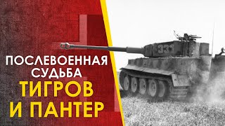 🔴 Послевоенное применение танков Тигр и Пантера