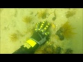 Underwater Metal Detecting a Vintage Swim Beach