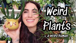 Weird Plants In My Collection! 🙃 Cacti, Philodendron, Rhipsalis + More 🌿