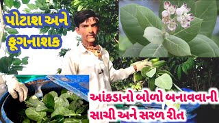 આંકડાનો બોળો બનાવો આ રીતે