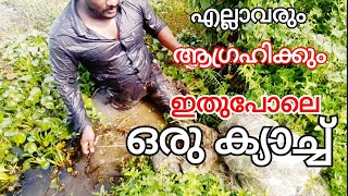 #മീൻ_ചാകര/kerala fishing video/fishing video