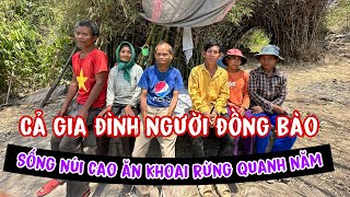 Cả gia đình người đồng bào sống núi cao ăn khoai rừng quanh năm..phần 1 …!