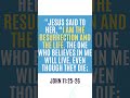 Daily Bible Verse: John 11:25-26 | Finding Life in Jesus | #shorts #jesus #resurection #life #bible