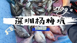 2023 第一次海钓活动在深圳杨梅坑圆满结束，我和同事们共享了一整天的鱼口，非常开心20