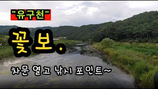 [공주]_ 유구천 꽃보 / 차문 열고 낚시 포인트  / 배스터 / 충남 공주시 사곡면 호계리 584-23