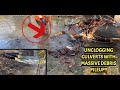 UNCLOGGING CULVERTS/CLEARING MASSIVE DEBRIS CLOG WITH METAL BLOCKADE! 11/2024 NT#58