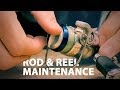 Rod & Reel Maintenance - How to Maintain a Fishing Rod