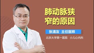 肺动脉狭窄的原因 有来医生