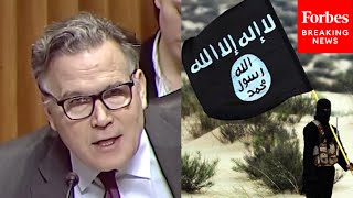 Dave McCormick Presses Witness On Potential Of Syria 'Reemerging As A Sanctuary' For Terror Groups