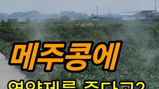 드론으로 할수있는 농사 비료살포 농약살포 영양제살포 #드론방제 #영양제 #백태