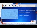 is it safe to eat fish from illinois water idph releases mercury pcb advisory list