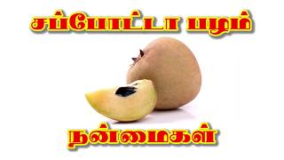 Benefits of Sapota in Tamil (சப்போட்டா பழம் நன்மைகள்)