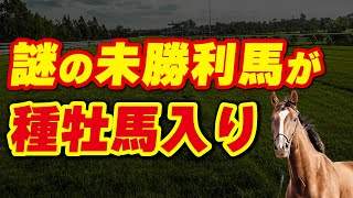 謎の未勝利馬が種牡馬入り。99%の人が知らない今年から種付けをスタートしたマイナー種牡馬たち