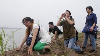 《今日点击》“东方之星”头七 “生命的尊严”被侮辱（2015/06/07）