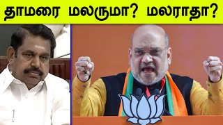 Operation lotus: தமிழகத்தில் தாமரை மலருமா?..அதிரடி திட்டங்களை கையில் எடுக்கும் டெல்லி-Oneindia Tamil