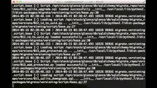 Demo: Dev/Testing for OpenStack in Docker with Dockenstack