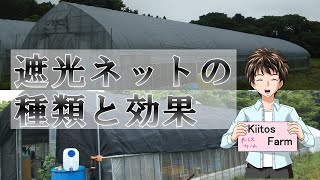 【遮光ネット】効果と色の違いは？