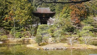 JG 4K HDR 奈良 円成寺(国宝,名勝) Nara,Enjoji(National Treasure,Scenic Buauty)