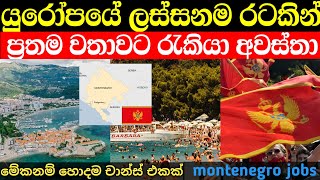 යුරෝපයේ ලස්සනම රටකින් ප්‍රතම වරට ලැබෙන රැකියා | montenegro job vacations