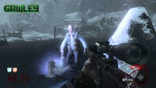 How to Kill George Romero with 50 bullets Black Ops Zombies Call of the Dead Dragunov Upgraded
