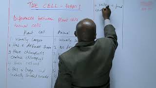 Differences between Plant Cells and Animal Cells