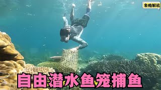 潛水魚籠捕魚，一次就可撈百條魚，個個都是捕魚高手！ #科學實驗 #科學試驗 #格蘭特 #亞當 #傑米