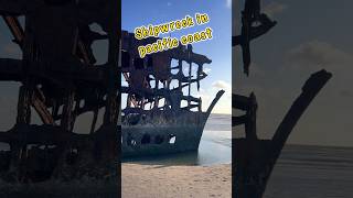 Wow 😮!! Have you seen this 115+ years old shipwreck of 1906 on Oregon coast !! #shorts #oregon