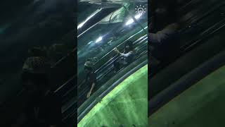 Underwater Escalator At Shanghai Ocean Underworld