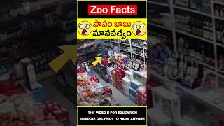 😭పాపం బాబు😭 missing kid went in grocery #amazingfacts #zoofacts #shorts