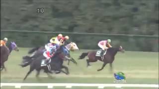 競馬で人生賭けた大勝負してみた。金杯は新白河編